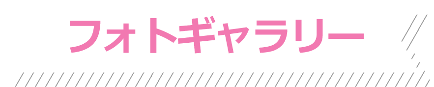 フォトギャラリー