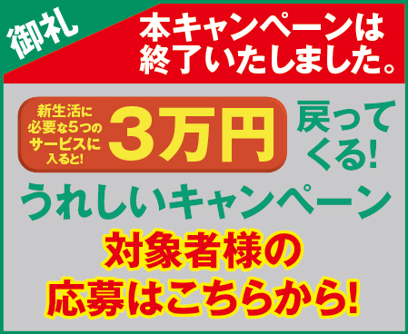 3万円キャッシュバックキャンペーン