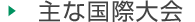 主な国際大会